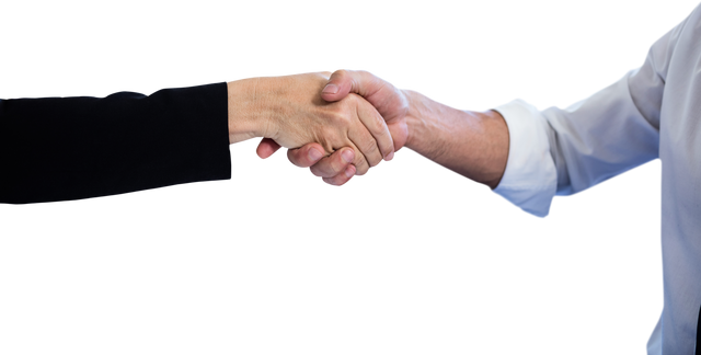 Business Partners Shaking Hands on Transparent. Professional Agreement. - Download Free Stock Videos Pikwizard.com