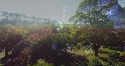 Drone capturing sunlit woodland canopy with digital code overlay and blue globe reflections