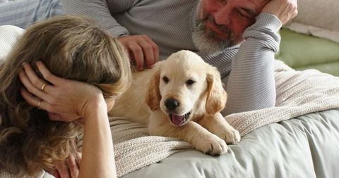 Couple relaxing with golden retriever puppy on bed, cuddling pet, cozy home moment