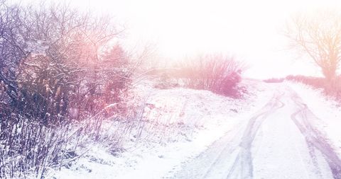 Serene Winter Landscape with Snow-Covered Road and Trees - Download Free Stock Images Pikwizard.com
