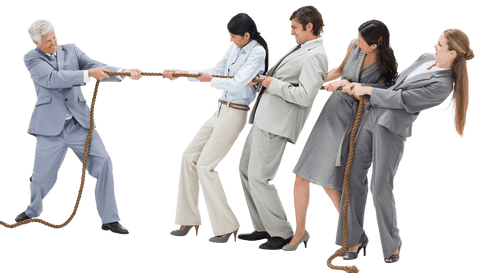 Business Team Engaged in Tug of War on Transparent Background - Download Free Stock Videos Pikwizard.com