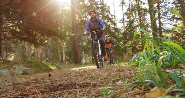 Couple Mountain Biking on Forest Trail in Sunlight - Download Free Stock Images Pikwizard.com