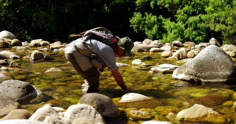 Fly Fisherman Picking Fish Along Rocky River Bank - Download Free Stock Images Pikwizard.com