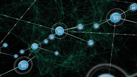 Digital Shopping Network Visualization with Connections