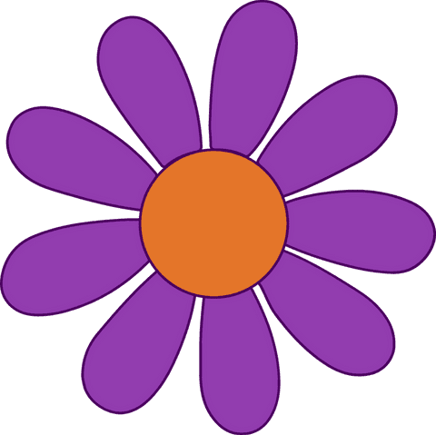 colorful daisy flower with transparent background - Download Free Stock Videos Pikwizard.com