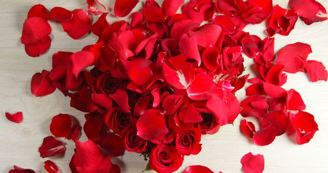 Petals falling over red roses in heart shape formation, Red rose petals falling and getting scattered around 4k