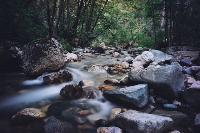 Peaceful forest stream flowing through a rocky path, surrounded by lush greenery and trees. Perfect for themes of nature, tranquility, and outdoor adventures. Suitable for websites, blogs, and travel publications looking for natural scenery.
