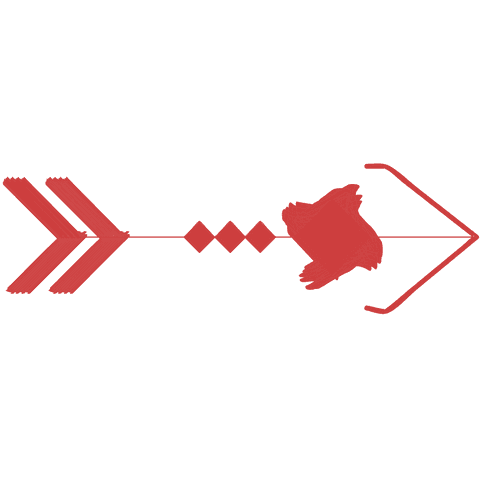red arrow with turtle motif on transparent background illustration - Download Free Stock Videos Pikwizard.com