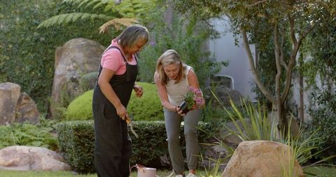 Friends Joyfully Gardening Planting Blossoms in Establishing Floral Displays
