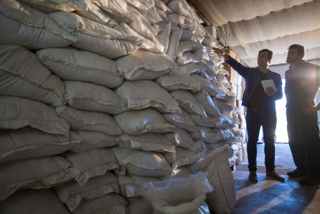 Coworkers are examining stacks of barley sacks in a warehouse, possibly checking inventory or quality. This image can be used for themes related to agriculture, food supply chain, logistics, teamwork, and quality control.