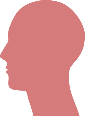 Red Profile Silhouette Transparent Background Vector Illustration - Download Free Stock Videos Pikwizard.com