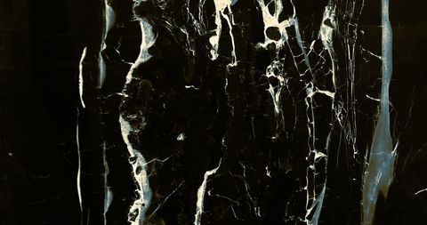 Elegant Black Marble with White Veins - Download Free Stock Images Pikwizard.com