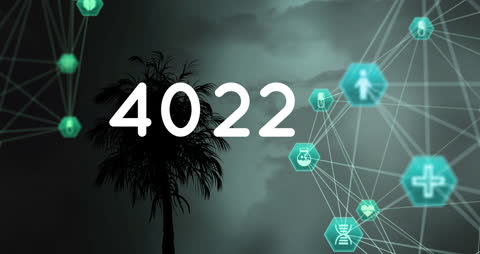 Futuristic Global Data Network Concept with Palm Silhouette