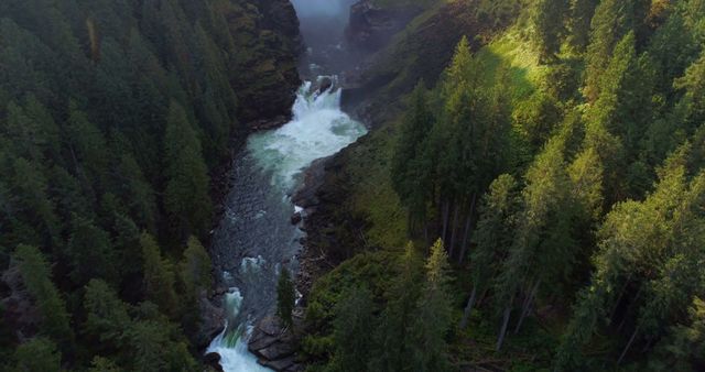 Aerial View of Serene Waterfall Surrounded by Lush Forest - Download Free Stock Images Pikwizard.com