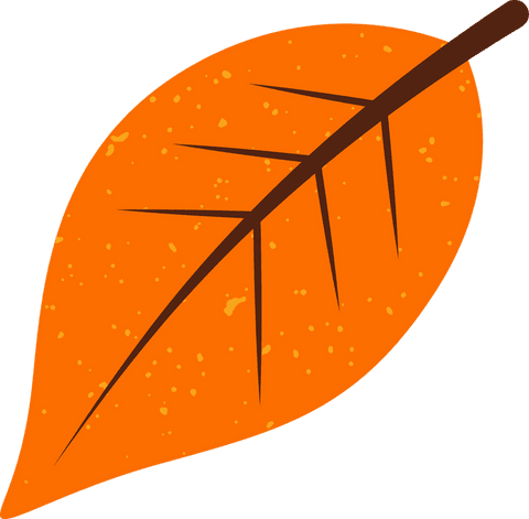 Orange leaf with transparent background in floral flat design