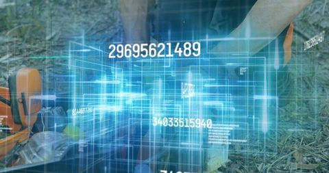 Forest worker using holographic technology in woodland