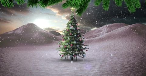 Lone decorated evergreen tree glowing in snowy dunes at dawn