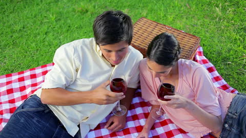Couple Enjoying Red Wine Picnic in Park