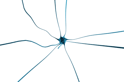 transparent neural plexus network concept illustration - Download Free Stock Videos Pikwizard.com