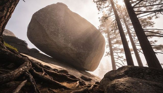 Balancing granite boulder on mountainside with exposed roots and sunlit golden pine forest