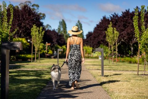 Woman Strolling with Dog on Sunny Pathway
