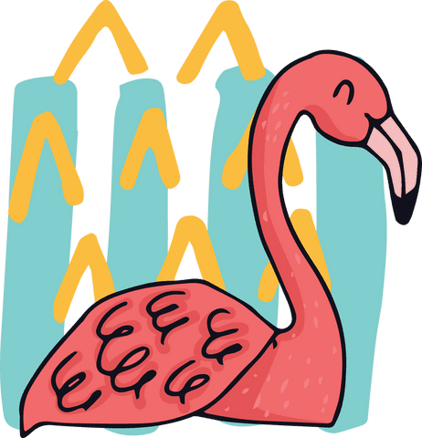 colorful pattern pink flamingo vector on transparent background - Download Free Stock Videos Pikwizard.com