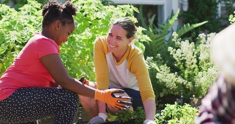 Diverse Family Gardening Together in Lush Backyard - Download Free Stock Images Pikwizard.com