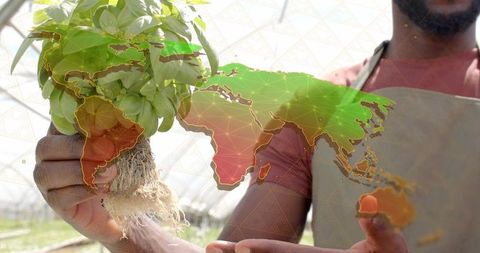 Horticulturist nurturing seedling with world map overlay
