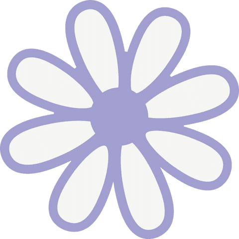 Transparent daisy-like flower with white petals and violet outline