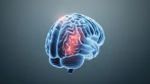 Translucent Brain Model Rotating with Pulsing Red Neural Activations in Studio