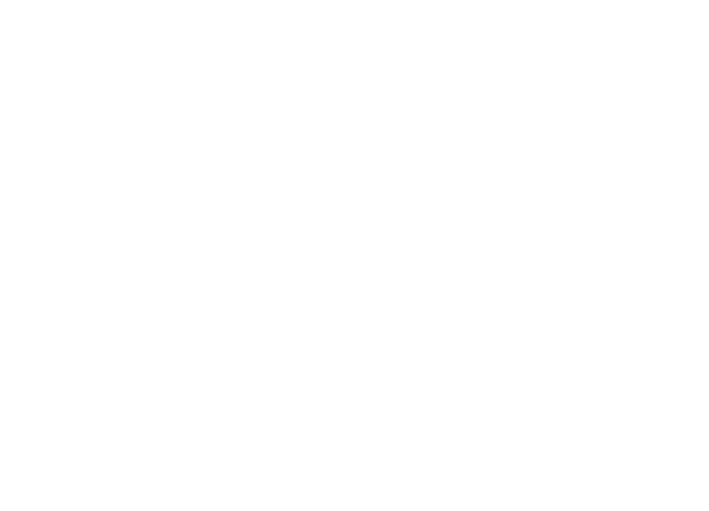 Silhouette Sportsmen Exercising with Weights on Transparent Background - Download Free Stock Videos Pikwizard.com