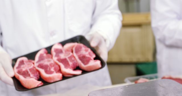 Butcher wearing white coat and gloves is presenting a tray of fresh, uncooked meat. Image highlights food preparation and quality in a professional meat processing environment. Suitable for use in content related to culinary arts, food safety, meat industry, and professional kitchens.