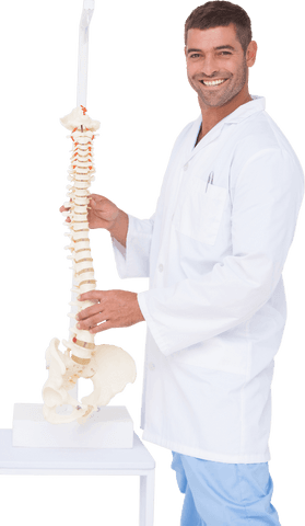 transparent background: chiropractor demonstrating spine model - Download Free Stock Videos Pikwizard.com