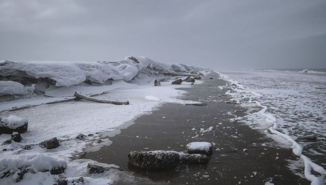 Winter Shoreline with Snow-Covered Ice Ridges, Driftwood and Overcast Horizon