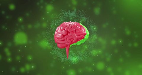Digital Brain with Spinning Motion and Technology Interface - Download Free Stock Images Pikwizard.com