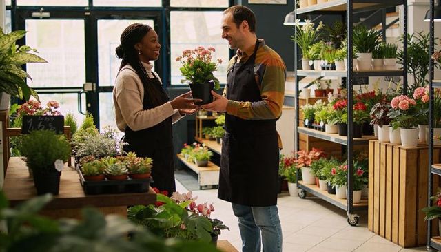 Florists exchanging flowering potted plant in bright retail shop, showcasing teamwork and friendly s