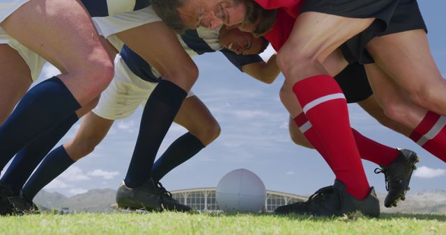 Rugby Players in Tense Scrum During Match Outdoors - Download Free Stock Images Pikwizard.com