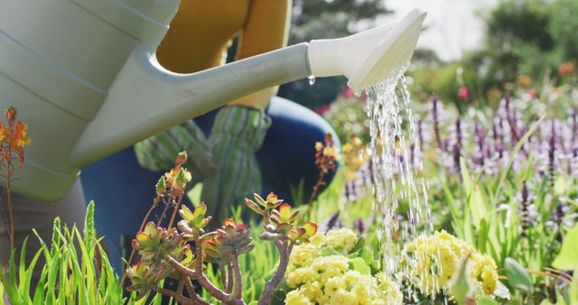 Person watering a vibrant garden with blooming flowers on a sunny day. Perfect for articles on gardening tips, sustainable living, home gardening inspiration, and outdoor activities.