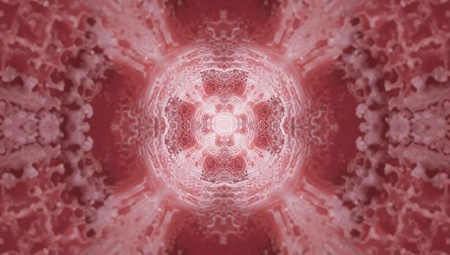 Radiating pink mandala pulsing with concentric rings, filament texture and symmetrical glow