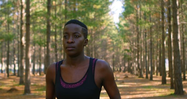 Focused Runner in Forest During Daytime - Download Free Stock Images Pikwizard.com