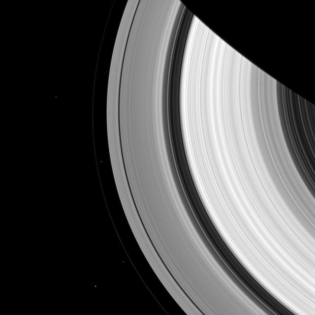 Two pairs of moons make a rare joint appearance. The F ring shepherd moons, Prometheus and Pandora, appear just inside and outside of the F ring the thin faint ring furthest from Saturn as seen by NASA Cassini spacecraft.
