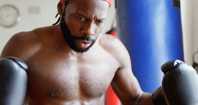 Focused African American Boxer Training with Intensity - Download Free Stock Images Pikwizard.com