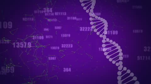 DNA Helix with Numerical Network in Digital Space