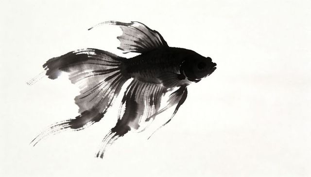 Flowing sumi-e betta fish painting, black ink ornamental fish with elegant brushstrokes