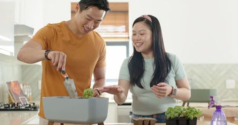 Diverse couple planting herbs on sunlit kitchen island, minimalist indoor gardening