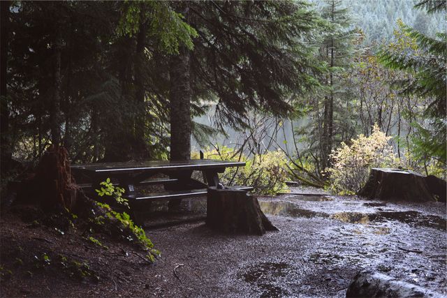 Depicts a picnic table in the middle of a forest clearing on a rainy day. Suitable for use in content related to nature, outdoor activities, serenity, or promoting conservation. Great for backgrounds, travel blogs, and illustrating concepts of peace and solitude in nature.