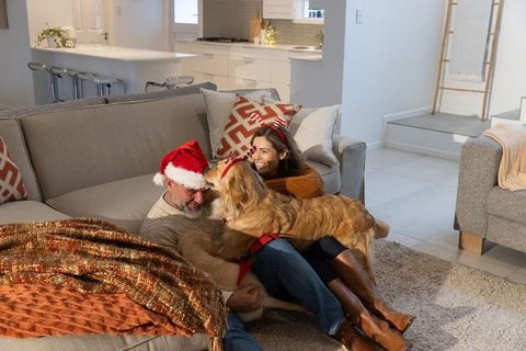 Senior man and daughter playing with golden retriever in cozy holiday living room