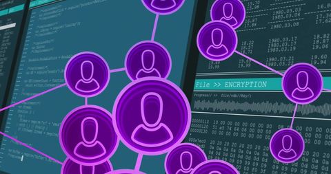 digital network with user icons and encryption on coding screen - Download Free Stock Images Pikwizard.com