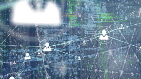 Digital Network Connections in Virtualized Server Environment