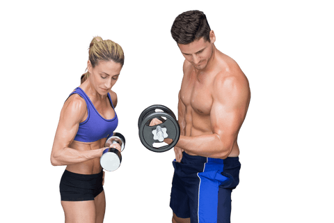 Muscular couple exercising with dumbbells on transparent background